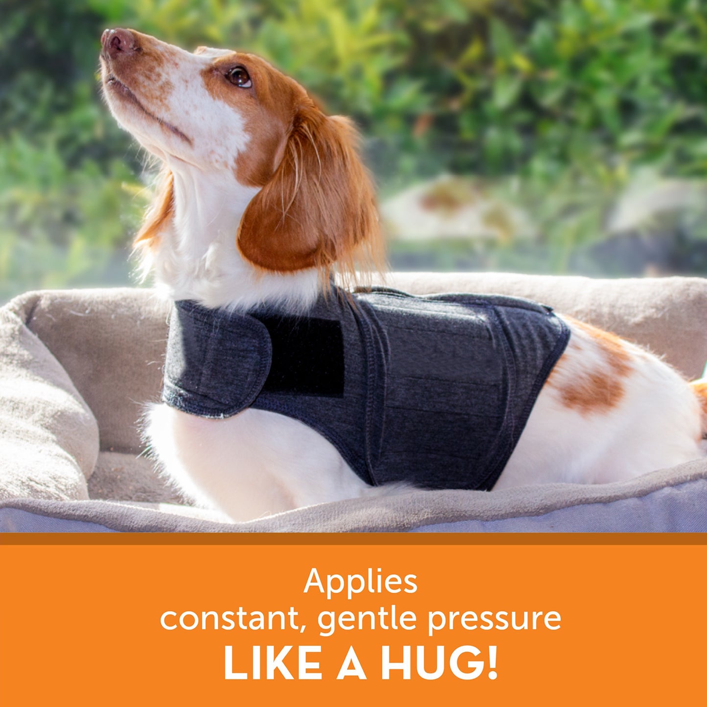 Fashion Dog Clothes Warm Vest